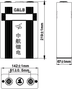 CALB CA100 Battery 